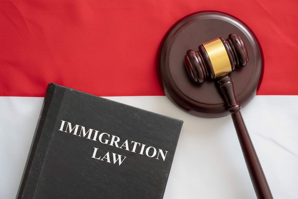 immigration-law